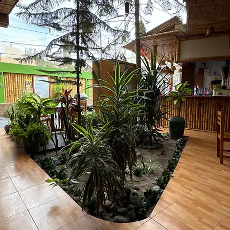 La Casa De Bamboo-2